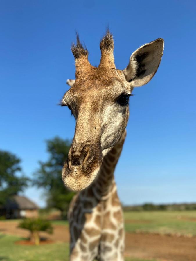 Morakane Safari Lodge Vryburg Экстерьер фото